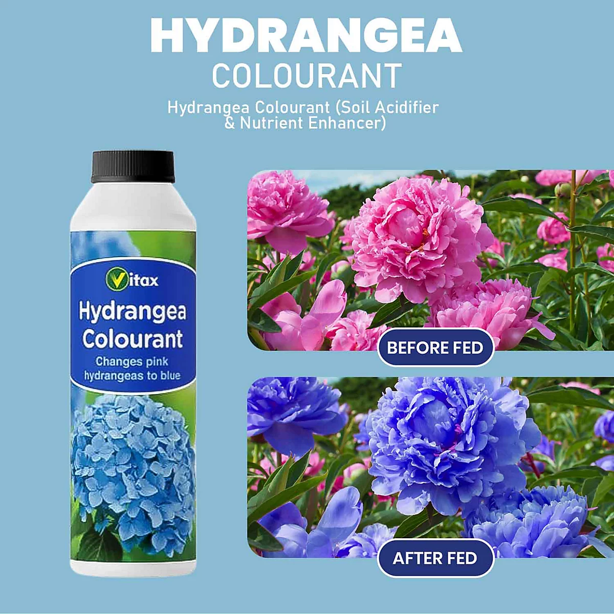 Vitax Hydrangea Colourant