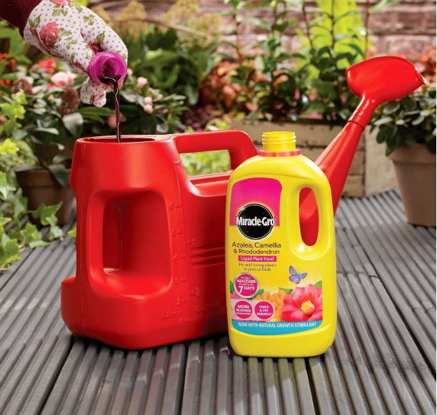 Miracle Gro Azalea, Camellia & Rhododendron Concentrated Liquid