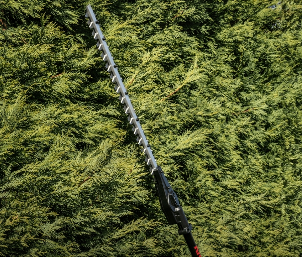 KC241.9 Hedge Trimmer