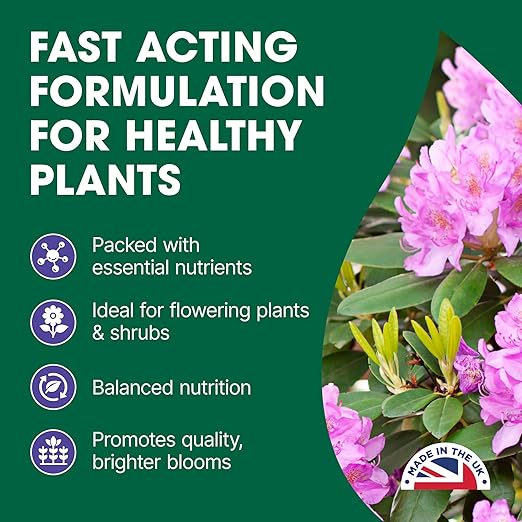 Doff Azalea, Camellia, Rhododendron Feed