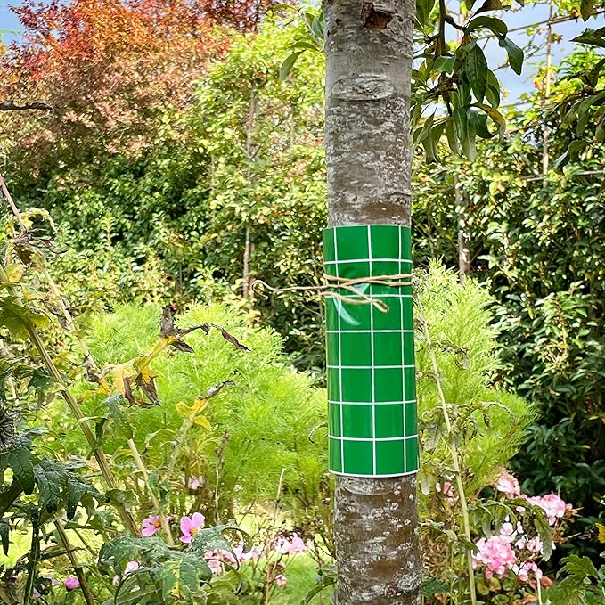 Bugclear Glue Barrier