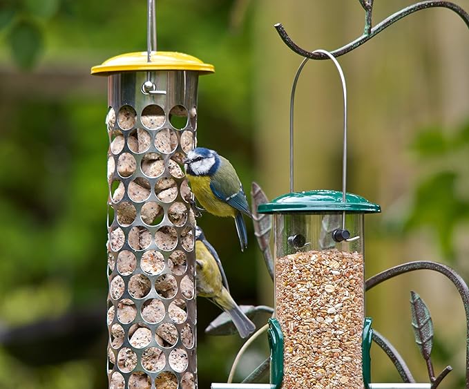 Peckish Good Nugget 1kg