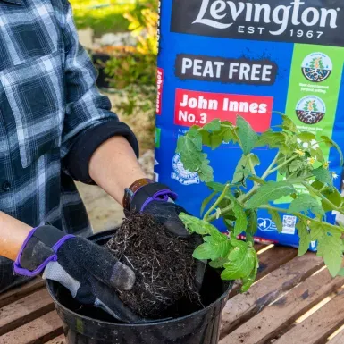 Levington Peat Free John Innes No.3 25L