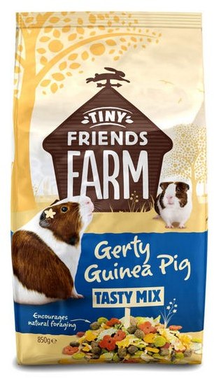 Gerty Guinea Pig 2.5kg