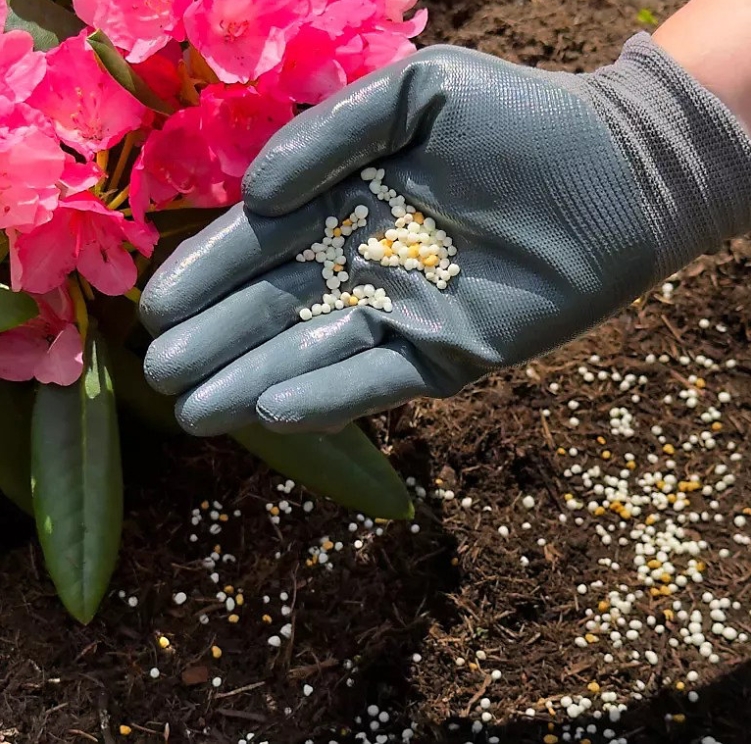 Miracle Gro Azalea, Camellia and Rhodedendron Continuous Release Plant Food