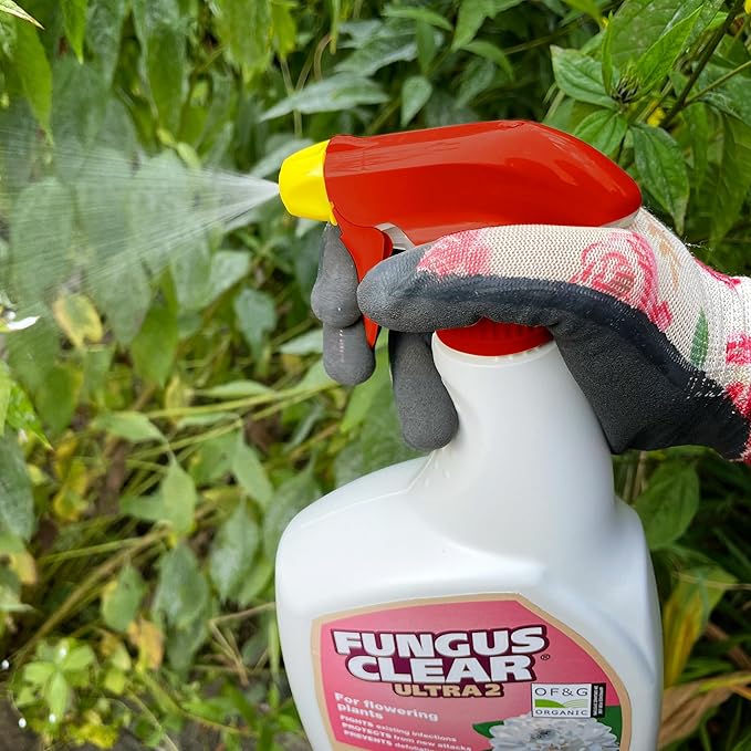 Fungus Clear Ultra 2 RTU